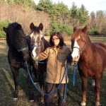 Woman on farm with horses.