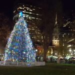 Boston Christmas tree tree
