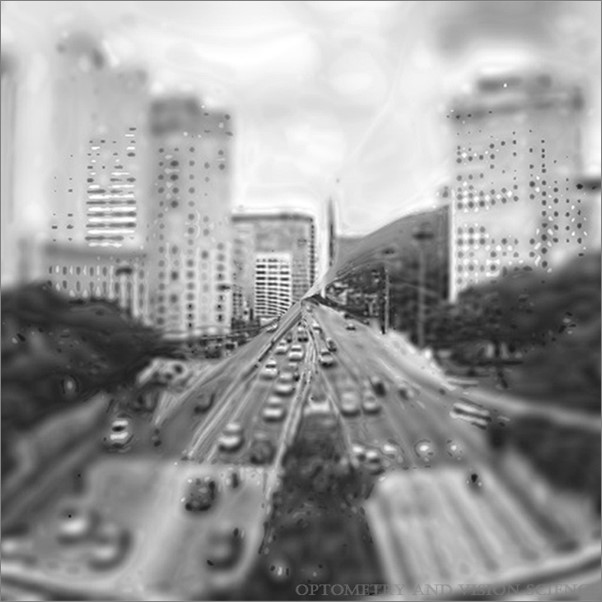 A cityscape is scene blurred to depict what experiencing blind spots might actually look like for a person.