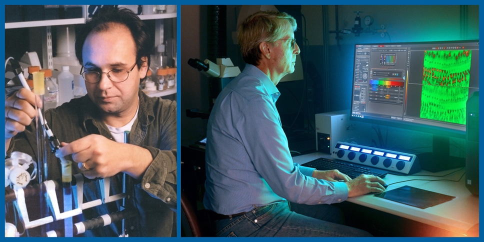 Side by side photos of Dr. Stefan Hellar (left) and Dr. M. Charles Liberman (right) working in their respective laboratories.