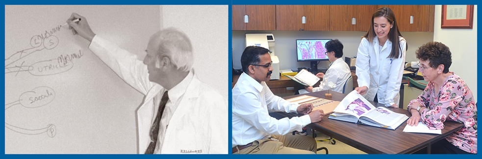 Side by side photos of Dr. Harold F. Schuknecht, (left) drawing a figure on a whiteboard with a marker, and Dr. Alicia Quesnel (right) speaking with colleagues in her lab.