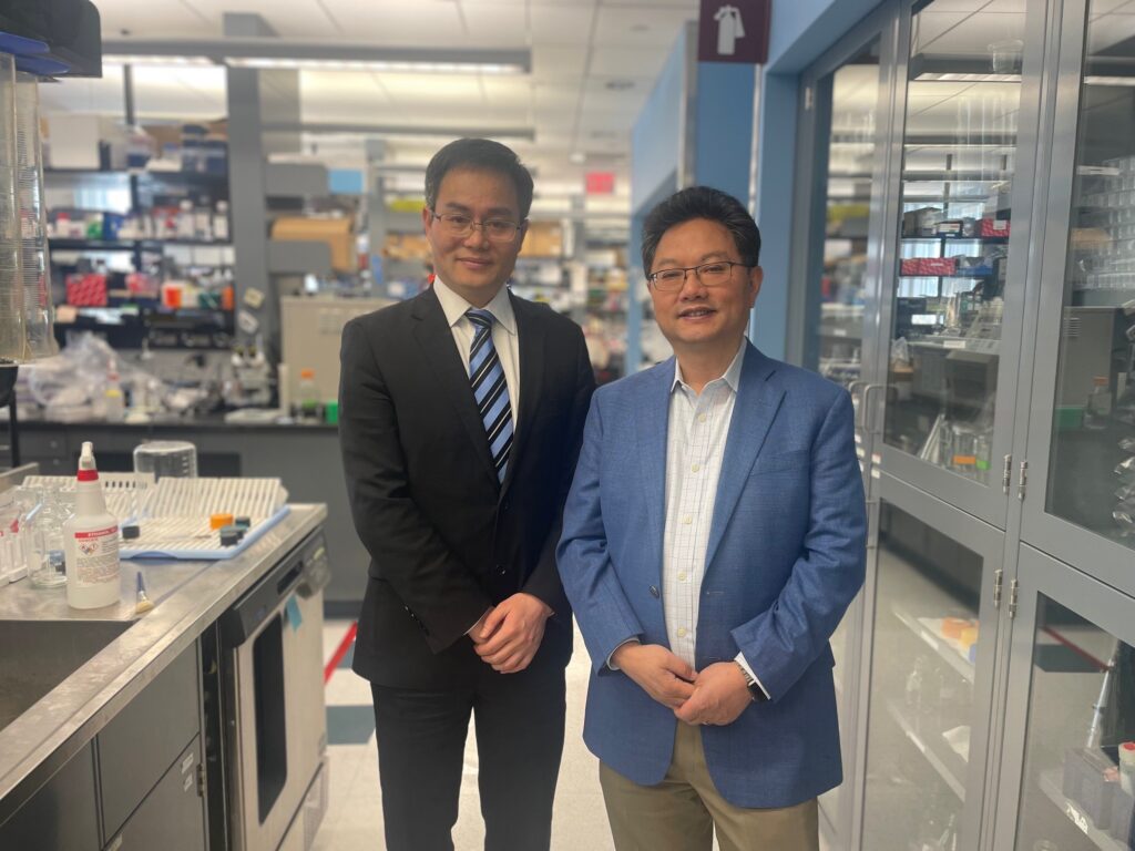 Yilai Shu, MD (left) and Zheng-Yi Chen, DPhil (right) pose in Dr. Chen's lab at Mass Eye and Ear in May 2024