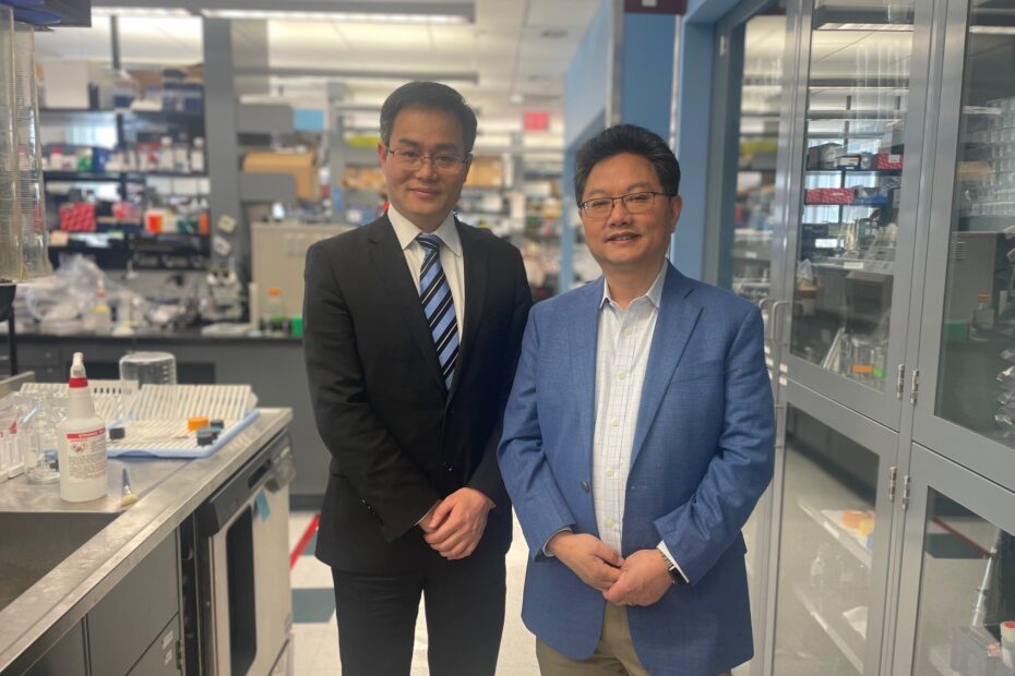 Yilai Shu, MD (left) and Zheng-Yi Chen, DPhil (right) pose in Dr. Chen's lab at Mass Eye and Ear in May 2024